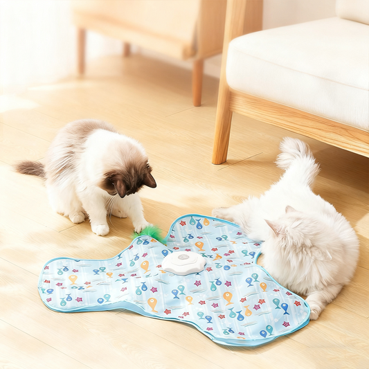 🐱 60% OFF NOW! 🎣 Hide & Seek Cat Toy – 2-in-1 Interactive Wand, Fluffy Feather Lure & Durable Spring Base 🧶🐟